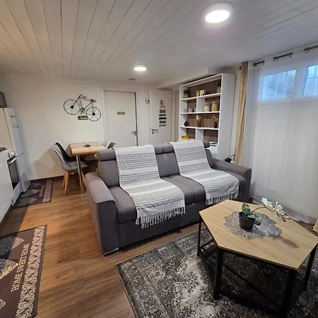 Appartement 2 Pieces Pres Du De Bouzey *