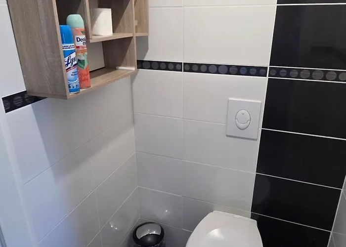 Appartamento 2 Pièces Près Du De Bouzey Sanchey